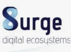 Surge digital ecosystems